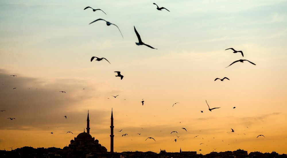 Research Projects: "Islam, the Modern Nation State and Transnational Movements"
