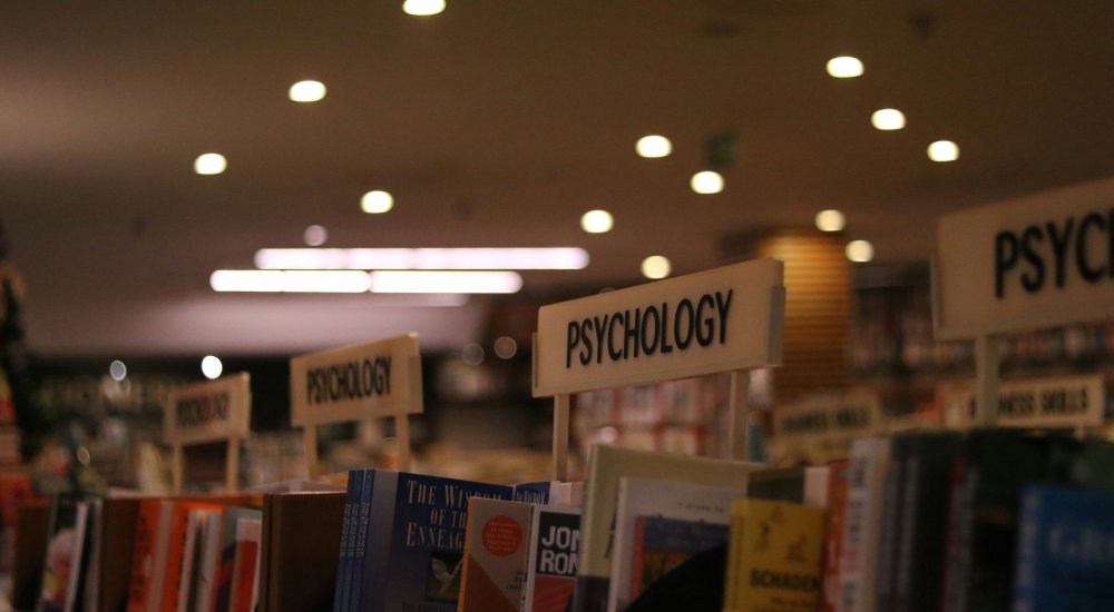 NYU Shanghai Postdoctoral Teaching Fellows of Psychology Image