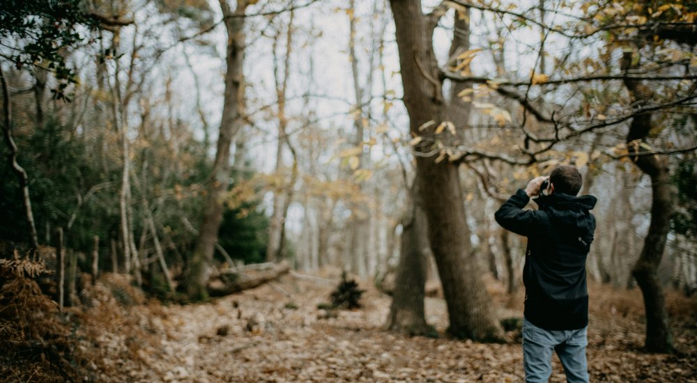 HORIZON EUROPE┋Strengthening the capacity of citizen science in biodiversity observation Image