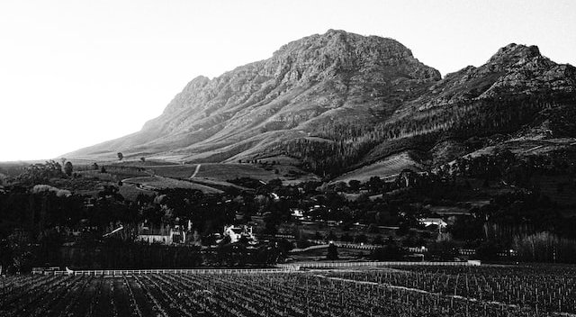STELLENBOSCH INSTITUTE FOR ADVANCED STUDY TEAM FELLOWSHIP Call illustration