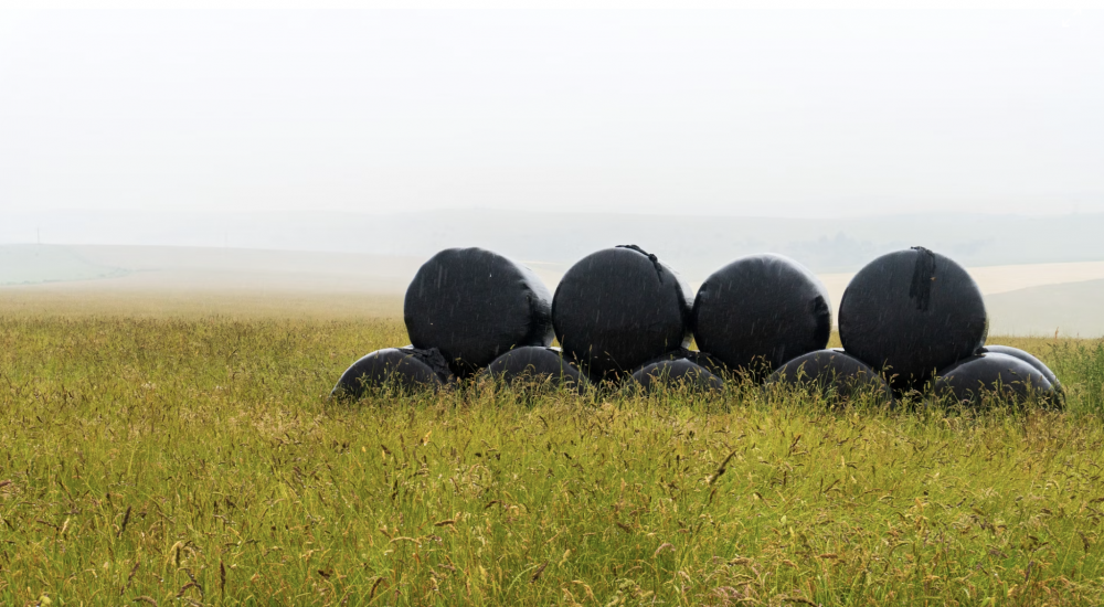 Post-Doctorant(e) dans le cadre du projet PRICK Image: Unsplash