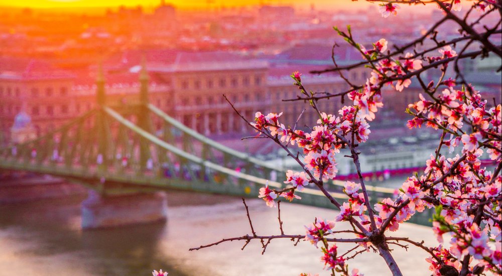 Artist in Residence Fellowship at CEU Budapest Artist in Residence Fellowship at CEU Budapest