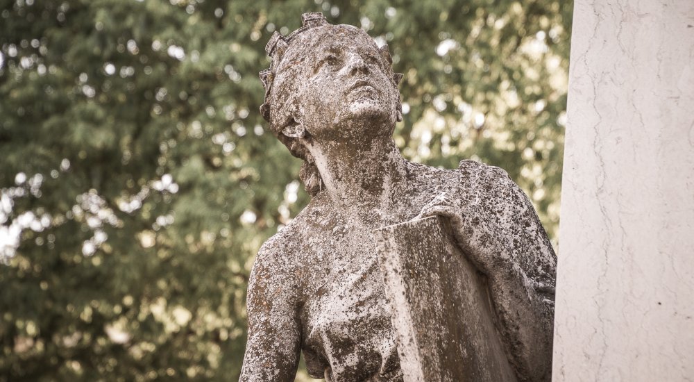 Postdoctoral Research Scholarship at the University of Évora┋TRANSMAT - Transnational Materialities (1850-1930): reconstituting collections and connecting stories" Call image