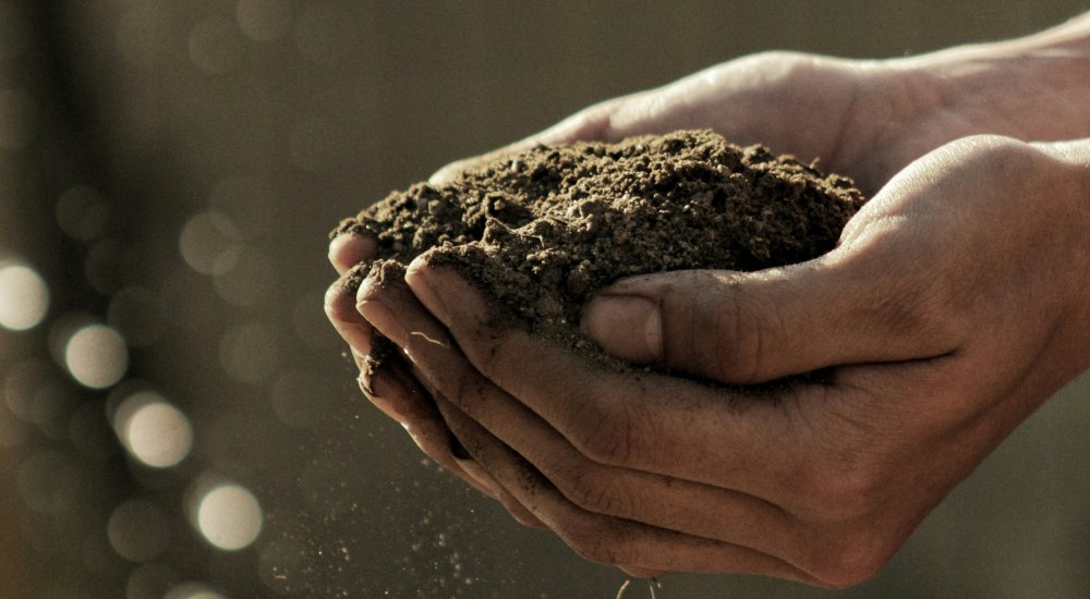 HORIZON EUROPE┋Broadening the living labs approach for soil health in Africa and Latin America and the Caribbean (LAC) Image