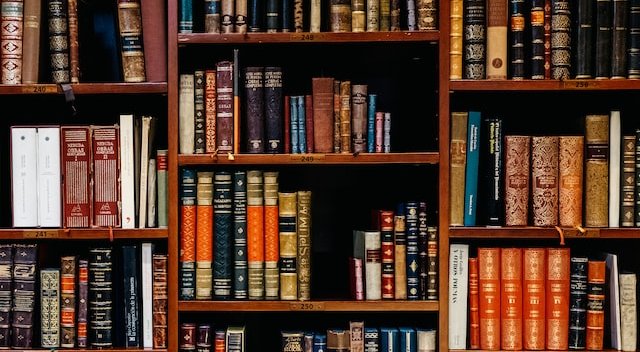 Biruté Ciplijauskaité Postdoctoral Fellowships in Peninsular Spanish Literature and Culture Call illustration