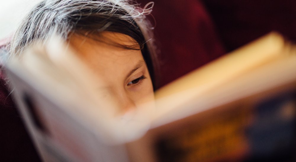 Social Justice in Education Post-Doctoral Fellows Program Call image