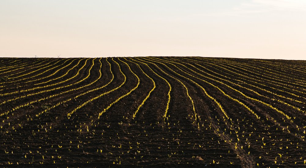 HORIZON-MISS-2022-SOIL-01-09 Call illustration