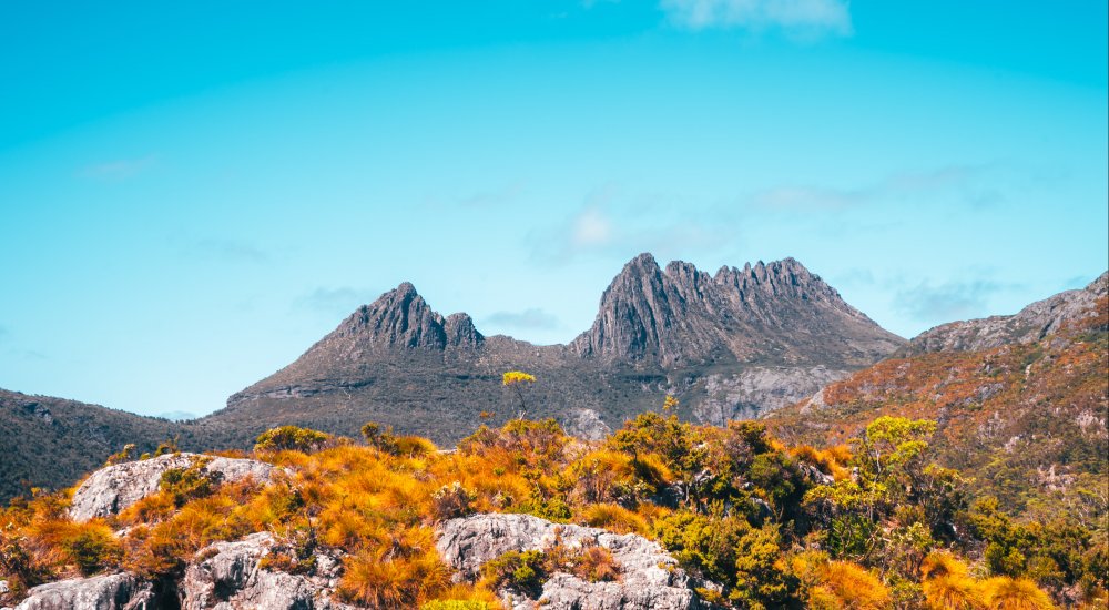 Call for nominations: University of Tasmania Visiting Fellows & Visiting Scholars Program Image