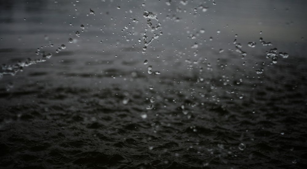 Chaire H2O'Lyon/Collegium Image: Unsplash