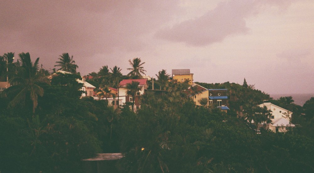 Image: Unsplash