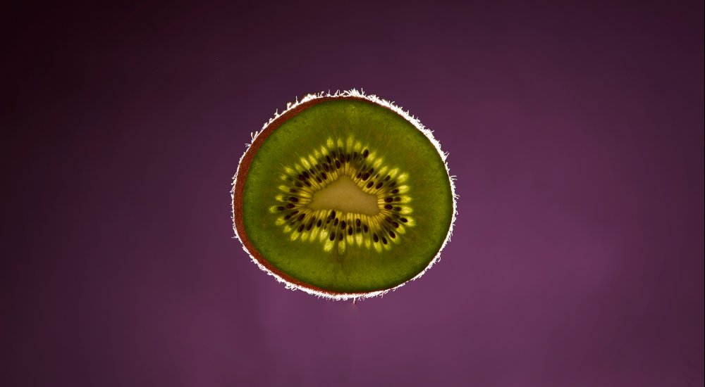 HORIZON EUROPE┋Testing safety and efficacy of phage therapy for the treatment of antibiotic-resistant bacterial infections Image