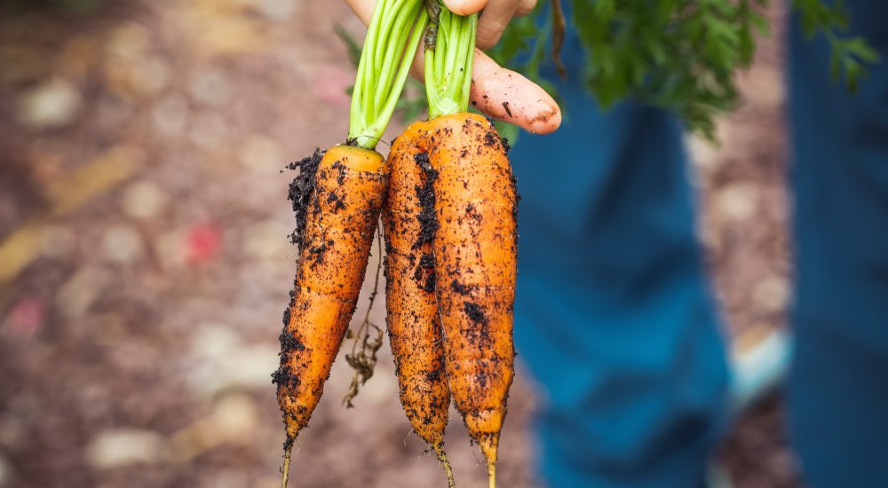 Image: Unsplash
