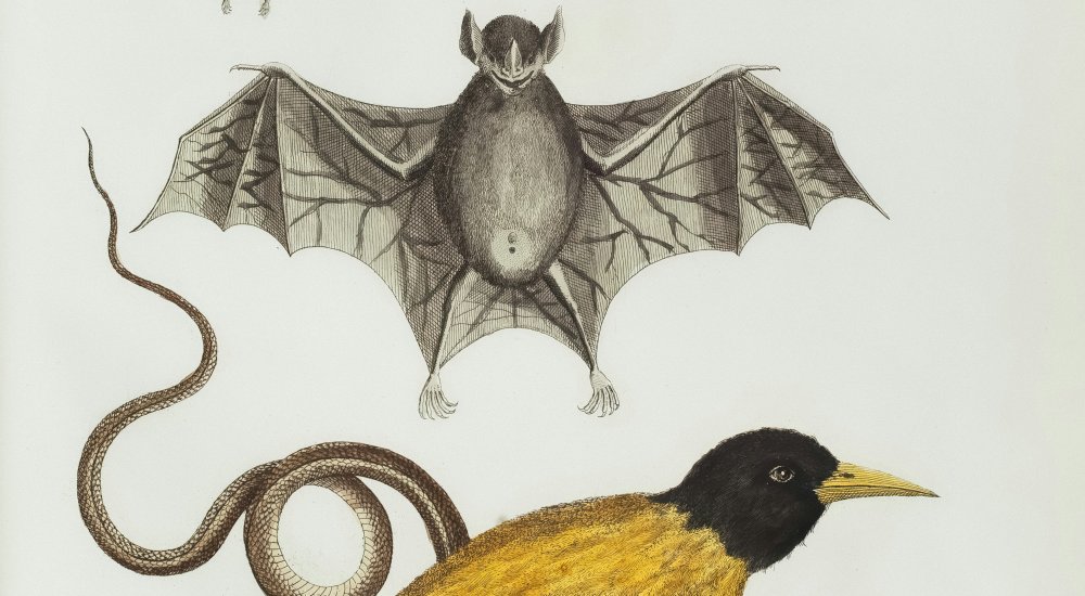 Prix de l’Interdisciplinarité Scientifique Image