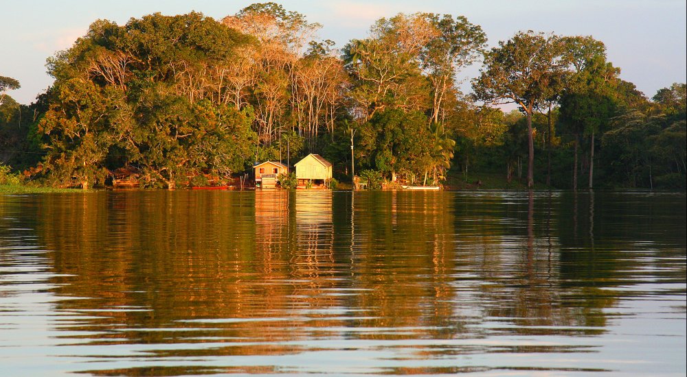 Postdoctoral Research Associate in Forest Resilience, Climate Change, and Human Health in the Amazon Image