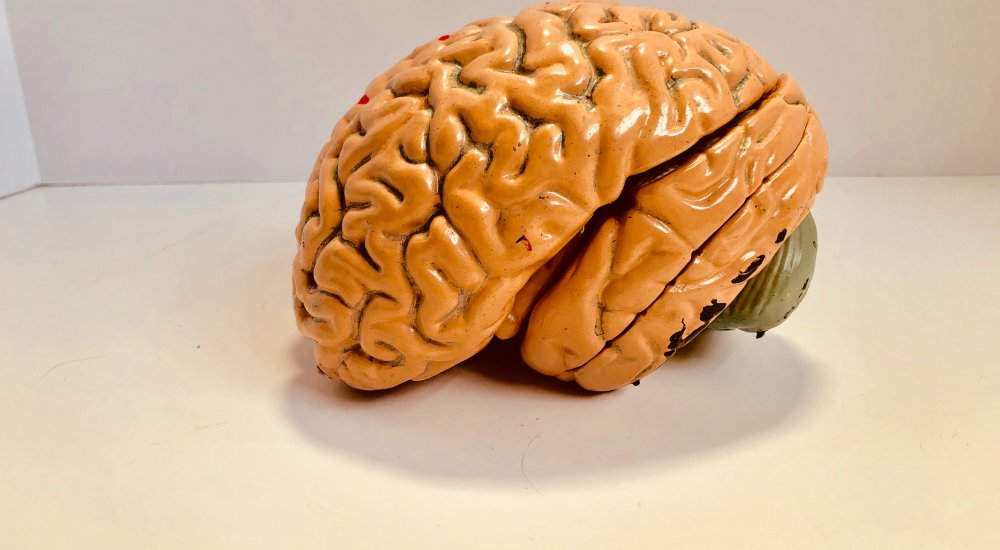 MindCORE Postdoctoral Research Fellowships at UPenn Image
