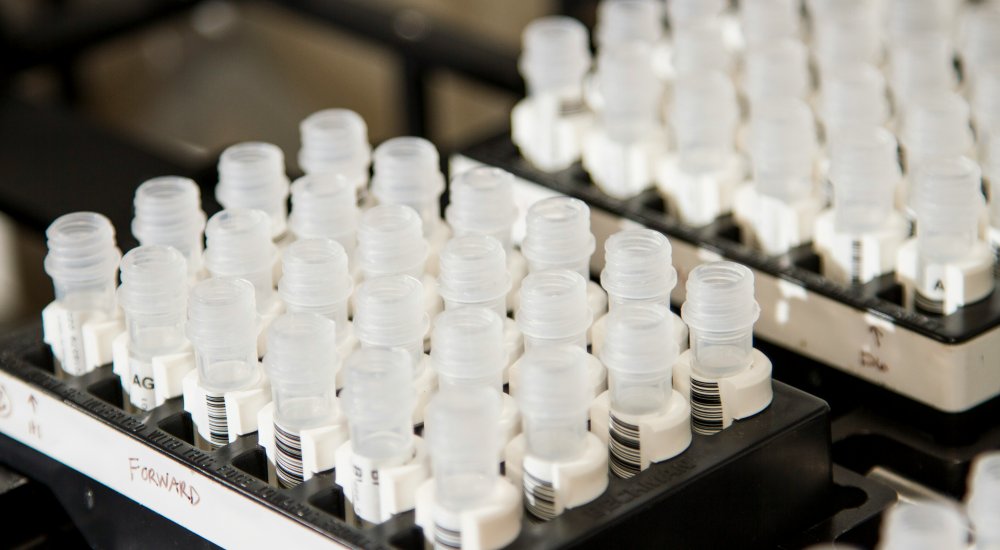 HORIZON EUROPE┋Support to the EU Biotechnology and Biomanufacturing Initiative: scoping action Image