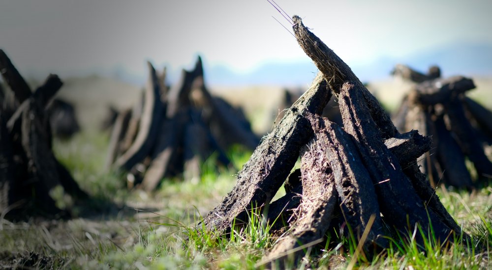 Socio-economic, climate and environmental aspects of paludiculture Image