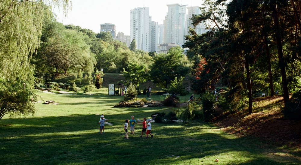 Urban greening and re-naturing for urban regeneration, resilience and climate neutrality Image