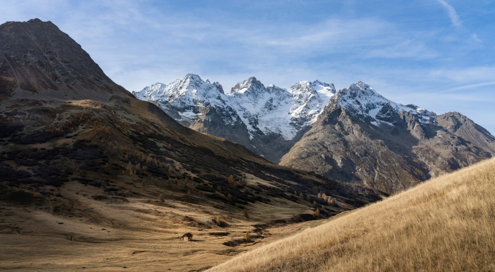 INRAE┋Post-doc : déterminants des changements d'usage du sol & réponse de la flore à la naturalité forestière sur le Massif des Alpes Image