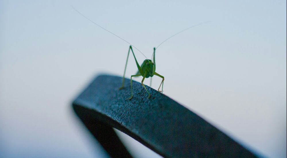 Image: Unsplash
