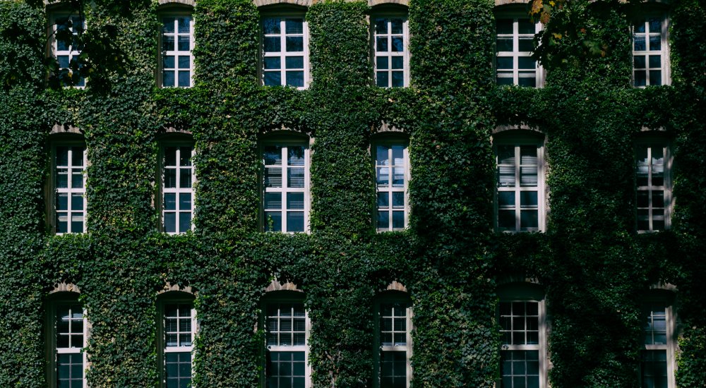 Princeton International Economics Section Fellowships Image