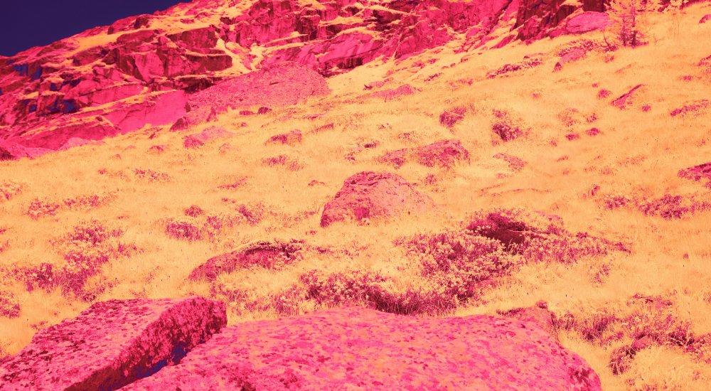 CIPR Post-Doctoral Fellowship Image: Unsplash