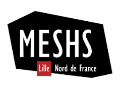 Logo MESHS