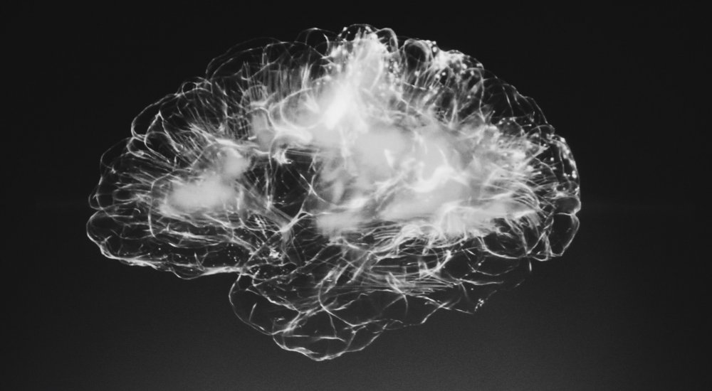 ILCB Postdoc Positions Language, Communication and the Brain Image