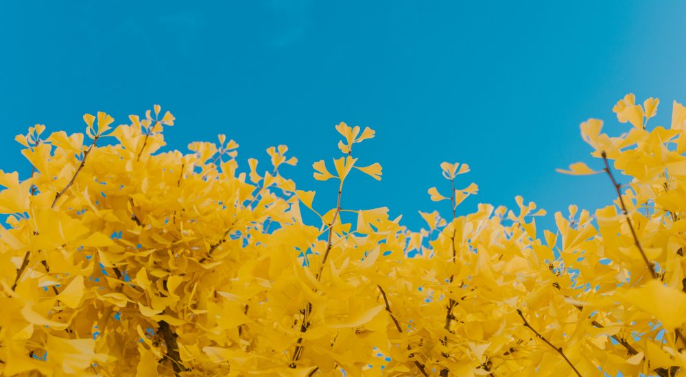 MSCA Postdoctoral Fellowships 2022 Call illustration