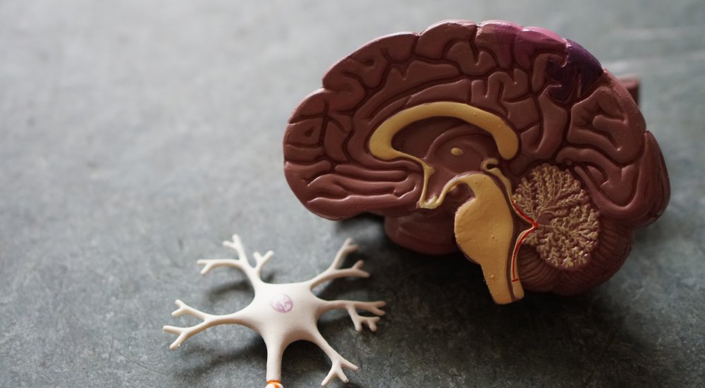Brain Call illustration