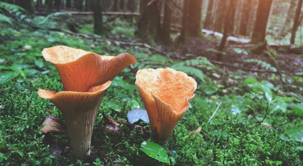 Photo de Sigmund sur Unsplash Photo de Sigmund sur Unsplash